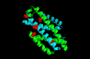 Isochorismate Pyruvate Lyase.png