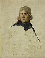 Napoleone Bonaparte: Biografia, La strategia di Napoleone, I figli