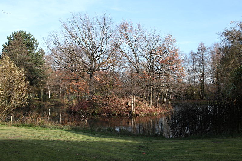 File:Köln - Knochenbergsweg - Motte Kurtekotten 02 ies.jpg