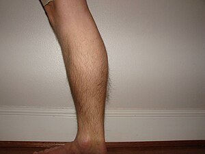 Kaleb's calf.JPG