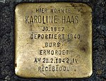 Snublestein for Karoline Haas (Kaiser-Joseph-Straße 278)