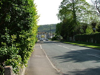 <span class="mw-page-title-main">King's Stanley</span> Human settlement in England