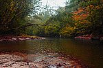 Le Bayou de Kisatchie.