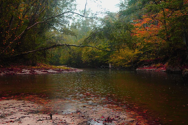 File:Kisatchie Bayou.jpg