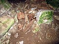 Miniatuur voor Bestand:Knochen in der Ramesch Knochenhöhle 20120616b.jpg