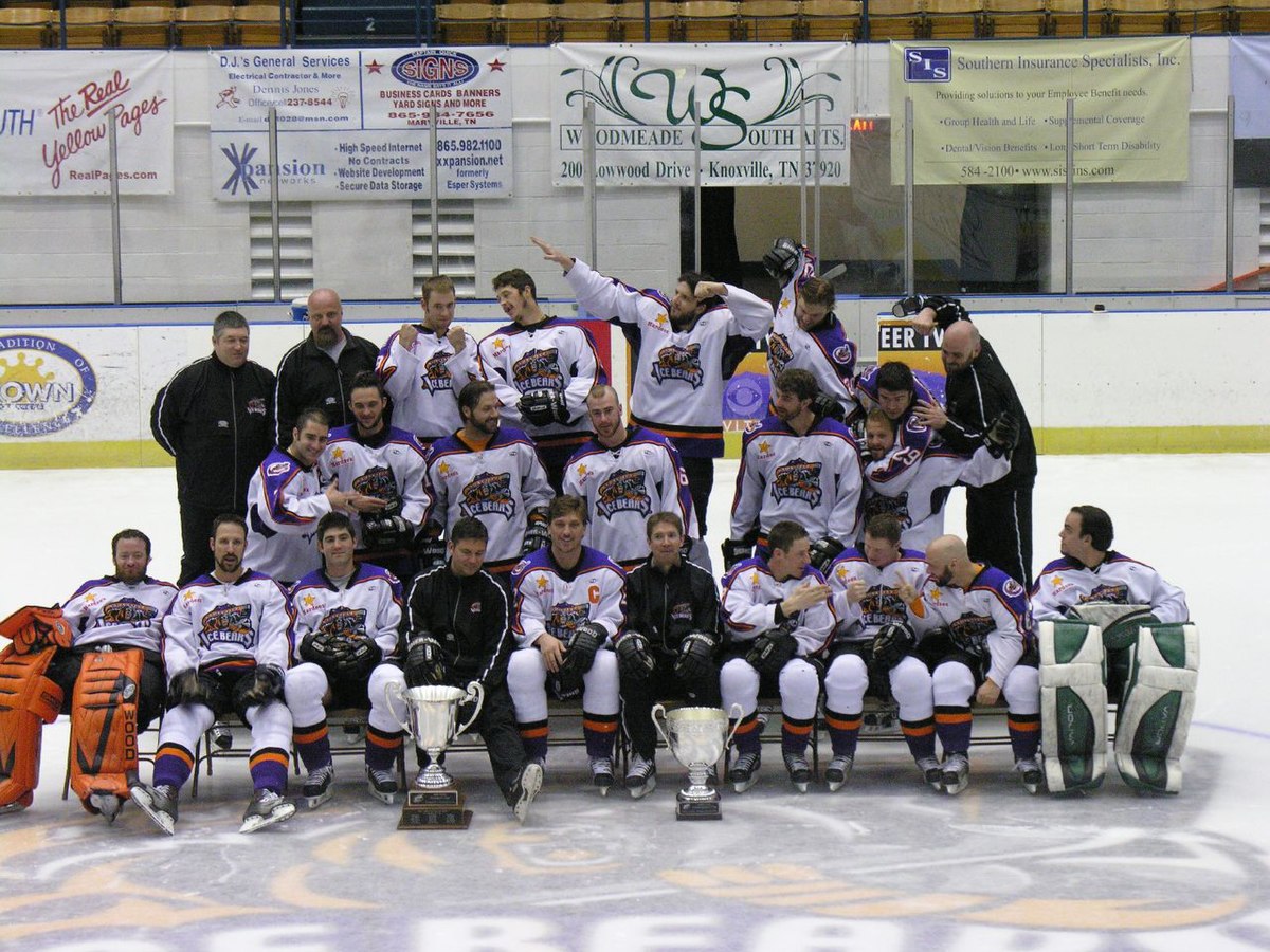 Knoxville Ice Bears, Professional Hockey