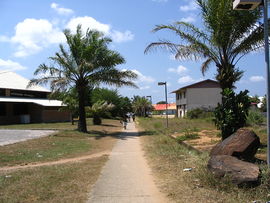A view of the allée du Bac, in Kourou