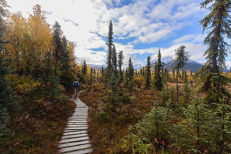 File:LACL Tanalian Trails in autumn (34900024464).jpg