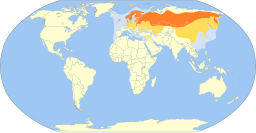 Larus canus map