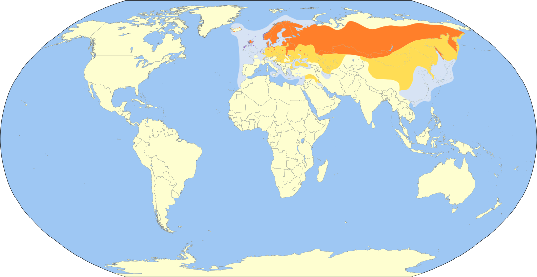 File:Larus canus map.svg