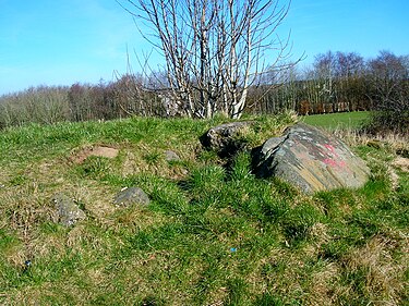 The barrow and the large greywacke stone. Lawthorn Mount cairn stones.JPG