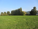 Ensemble de la Vieille Thielle: Ensemble of Neolithic and Roman sites