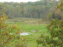 The defunct Leonard Springs Reservoir, now taken over by beavers Leonard Springs Reservoir - seen from the dam - DSCF7386.JPG