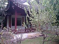 Lingering garden peach blossom dock.jpg