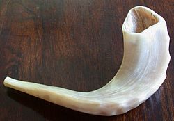 A small shofar made from a ram’s horn.