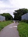 Looking down the abandon portion of the North Mersey Branch towards Kirkby.