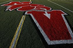 MVHS Logo on field.jpg