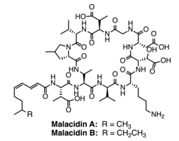 Malacidin.tif