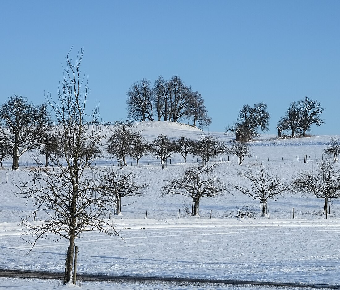 Burgstall Margarethenberg