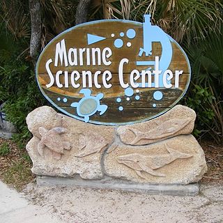 <span class="mw-page-title-main">Marine Science Center</span> Zoo in Ponce Inlet, Fl