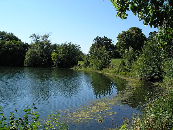 Mayslake Peabody Estate Forest Preserve