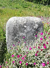 Menhir van Rocadel