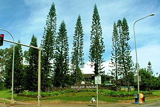 <span class="mw-page-title-main">Mililani Mauka, Hawaii</span> Census-designated place in Hawaii, United States