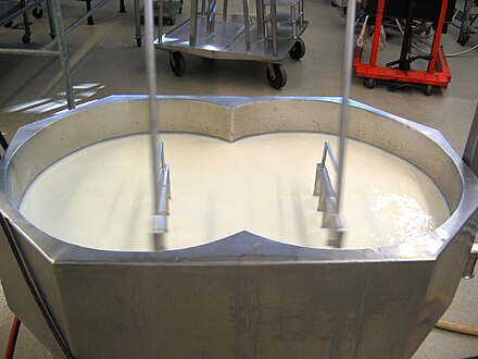 180 kilograms (400 lb) of milk in a cheese vat