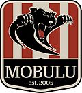 Vorschaubild für Mobulu Futsal Uni Bern