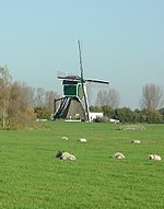 Molen (Weijpoort) .JPG