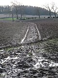 Thumbnail for File:Mud, mud, glorious mud - geograph.org.uk - 6366026.jpg