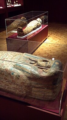 The Egyptian gallery showcases a sarcophagus, a Roman era Egyptian mummy and the mummy of a woman named Tutu who died approximately 332 BCE. Mummy at mabee-gerrer museum.jpg