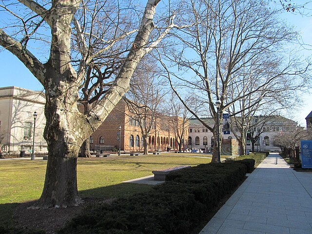 Museum Quadrangle