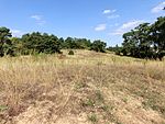 NSG dune on the Ulvenberg of Darmstadt-Eberstadt 2012.JPG