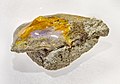 * Nomination Miocene Nankang Formation amber in the National Museum of Natural Science, Taiwan. Tiouraren 16:12, 8 April 2023 (UTC) * Promotion Not perfect, but good enough. --Kritzolina 07:48, 15 April 2023 (UTC)