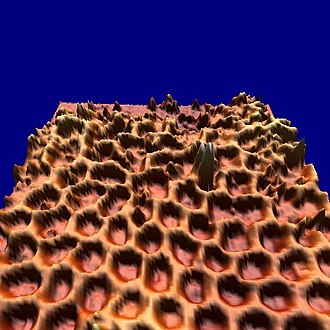Perspective view of nanomesh, whose structure ends at the back of the figure. The distance between two pore centers is 3.2nm, and the pores are 0.05nm deep. Nanomesh 3D.JPG