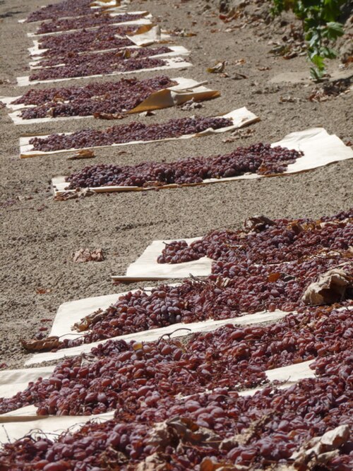 Sun-dried raisins