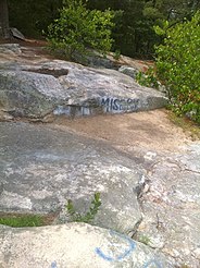 Nehantic Trail - Mount Misery summit.jpg