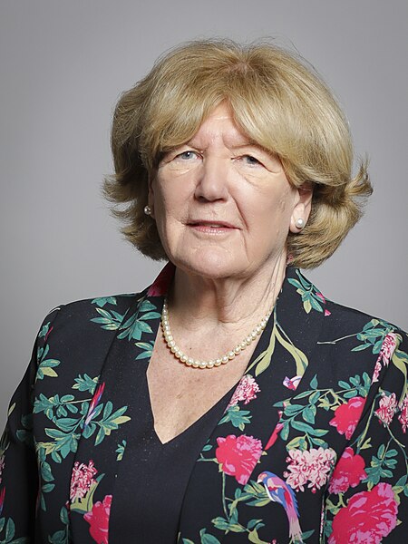 File:Official portrait of Baroness Taylor of Bolton crop 2, 2019.jpg