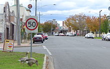 The main street of Orbost, entering from the south.
