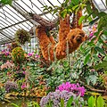 Orchid sloth at Kew Gardens.jpg