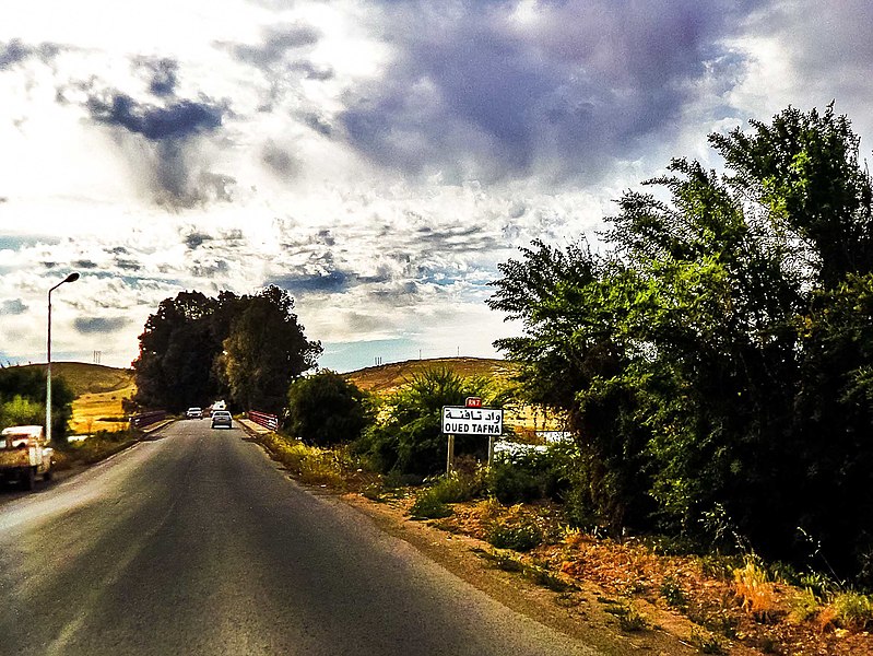 File:Oued Tafna واد تافنة - panoramio.jpg