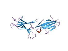 PDB 1 g / m² EBI.jpg