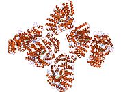 PDB 1n4q EBI.jpg