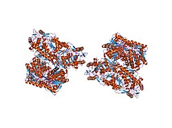 PDB 1nzx EBI.jpg