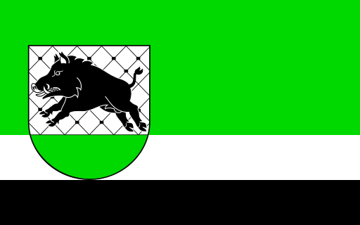 File:POL Debrzno flag.svg