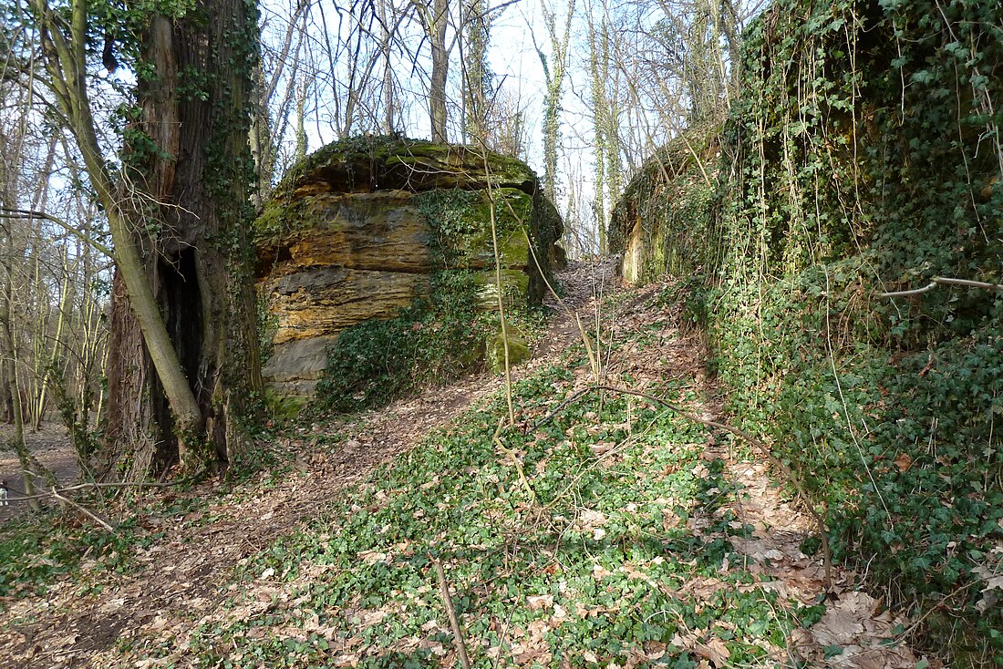 Vinořský park