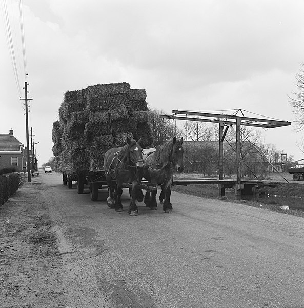 File:Paarden, wagens, stro, ophaalbruggen, Groningen, Bestanddeelnr 168-0421.jpg