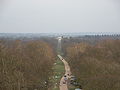 View from the top looking along Princes Riding to Ashridge House