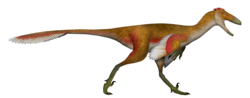 Pectinodon UDL.png